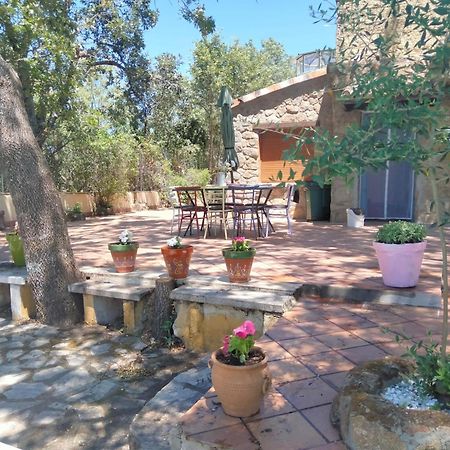 Casa Rural Vinas Perdidas Béjar Екстериор снимка